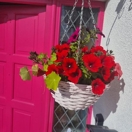 Ferienwohnung The Pink Door Killala Exterior foto