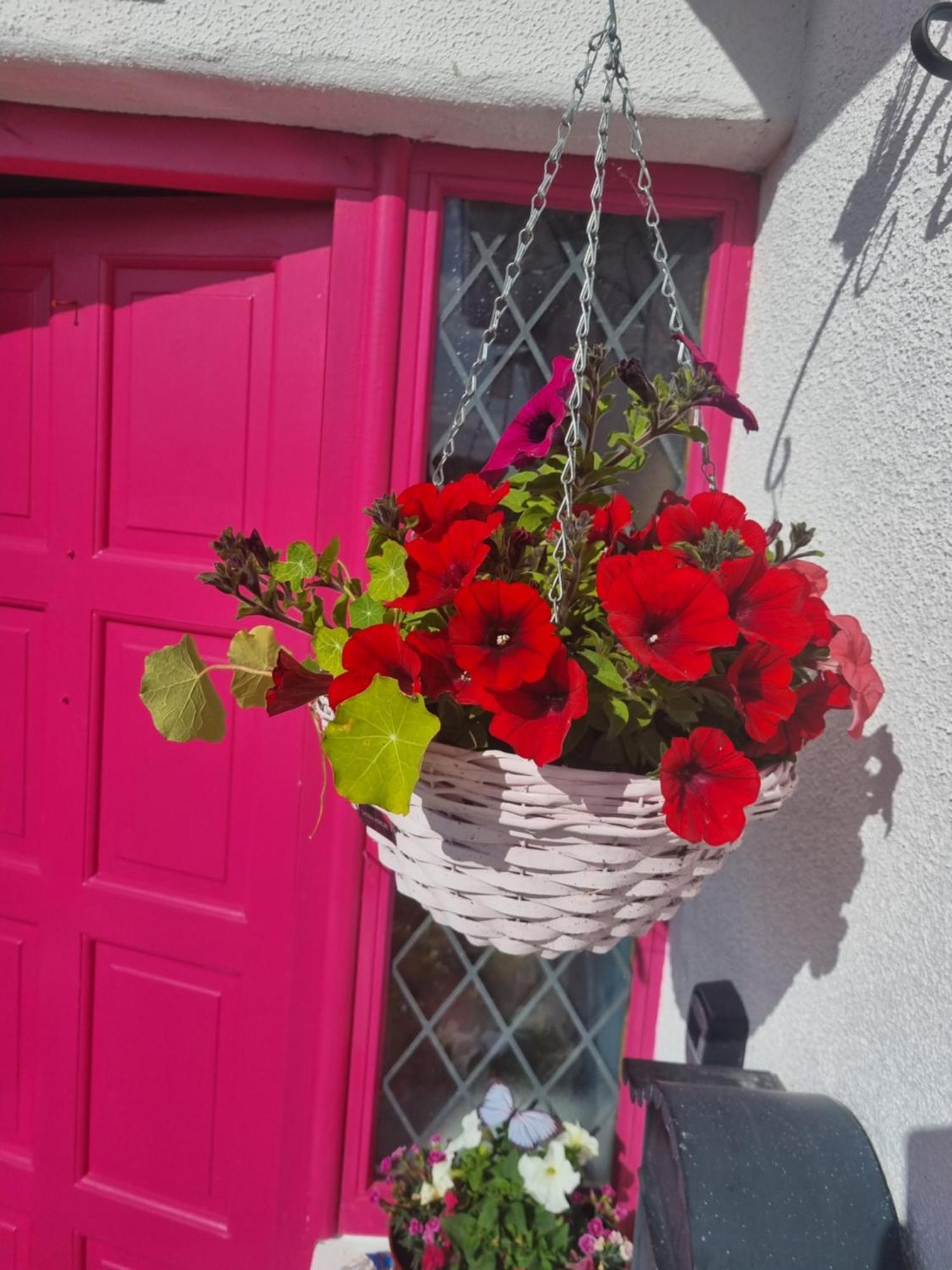 Ferienwohnung The Pink Door Killala Exterior foto